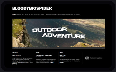 Website Design and Development Screenshot of Bloodybigspider