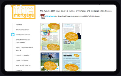 Website Design and Development Screenshot of BlueStone Publishing
