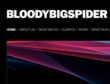 Click to find out more about the Bloodybigspider website