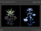 Click to find out more about Charlie Surbey Photography