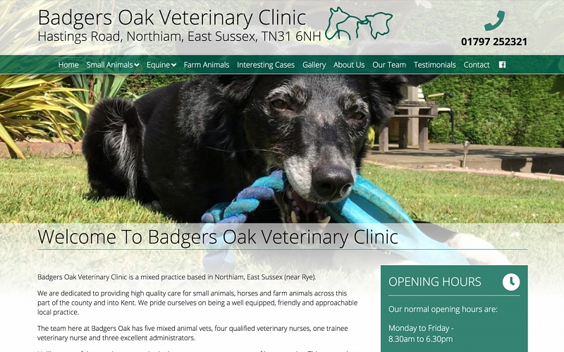 Website Design and Development Screenshot of Badgers Oak Veterinary Clinic