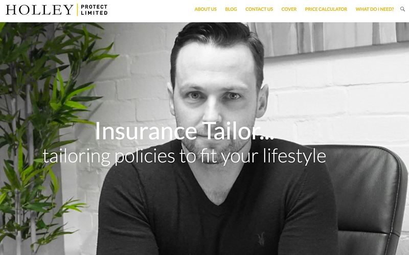 Website Design and Development Screenshot of Holley Protect